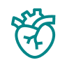 Heart organ@2x