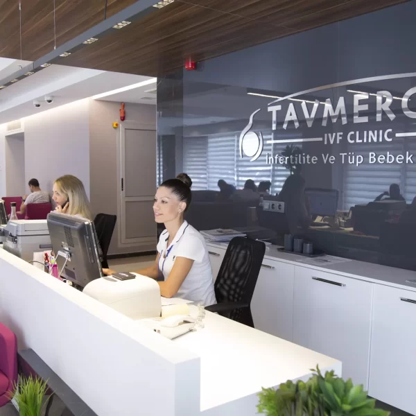 Tavmergen merkez 10 600x600