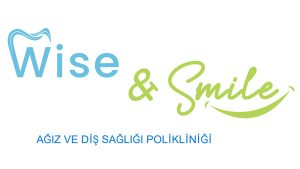 wise&smile_renklilogo
