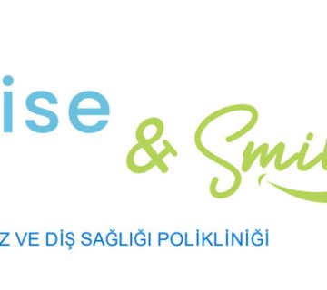 Wisesmile renklilogo 360x320