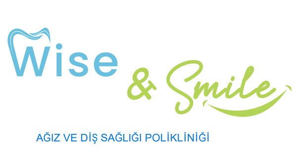 wise&smile_renklilogo